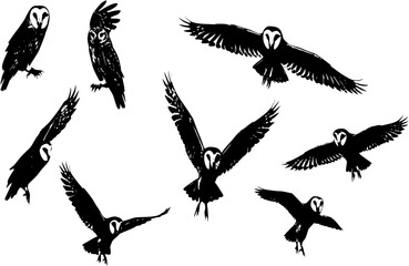 owl silhouettes
