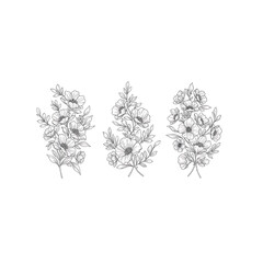 Elegant Floral Bouquets Line Art Illustration on Black Background Perfect for Invitations and Graphic Design Projects with Delicate Details