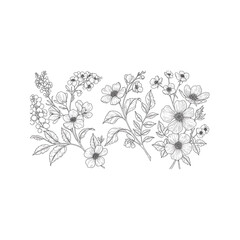 Floral Illustration in White Line Art Style on Black Background Delicate Flowers and Leaves for Design Projects