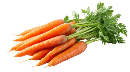 Fresh carrots with green tops, isolated on a white background.