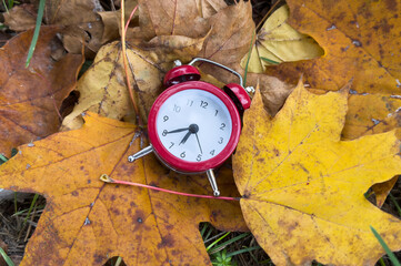 Vintage alarm clock and maple tree leaves on yellow wooden background with bokeh. Autumn season image style
