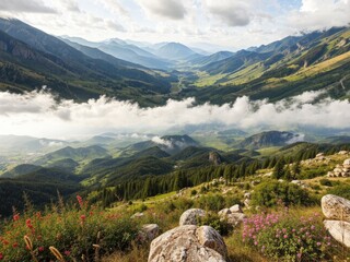 Summer Nature in Georgia - Panoramic View