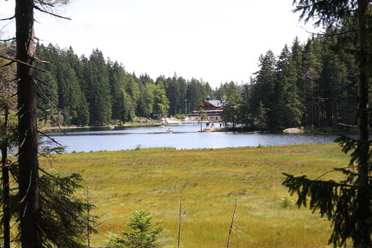 arbersee /arber
