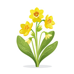Illustration of Yellow Daffodils with Green Leaves on Black Background