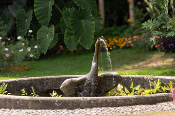 Ornamental Fountain Surrounded by Greenery