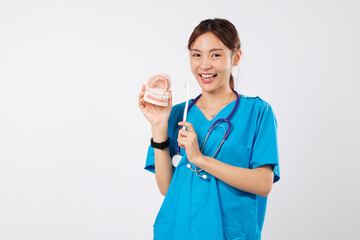 Smiling asian woman dentist shows a teeth model and toothbrush, teaching how to brush artificial...