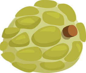 Fresh, ripe custard apple isolated on white background, showcasing its segmented skin and stem