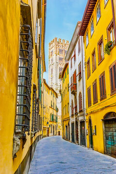 Fototapeta The narrow winding street with tower of Lucca Cathedral, Italy