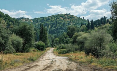 Dirt road winds through lush green valley