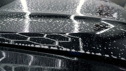 Professional car detailer applying soap on vehicle hood