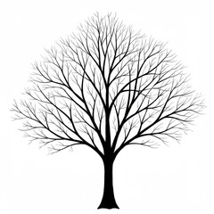 Obraz premium Black Silhouette of a Leafless Tree on White Background
