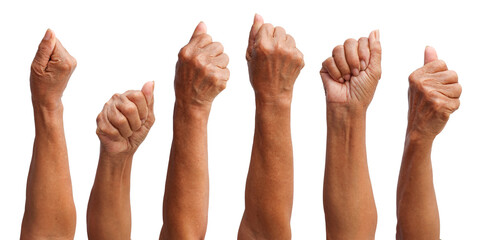 Set of woman's hands in beautiful poses on white background