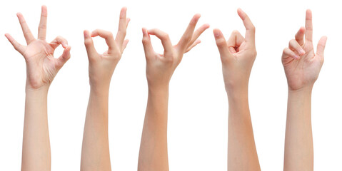 Set of woman's hands in beautiful poses on white background