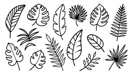 Tropical leaves line art bundle, Outline botanical vector icons including monstera, palm, banana, fern, palm fan silhouettes