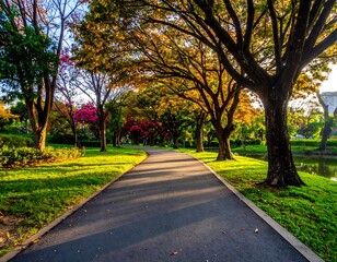 Sunlit park path, colorful trees, tranquil scene