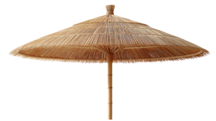 Tropical thatched parasol: A rustic, open parasol provides shade, its handcrafted, layered design of natural thatch creating a visual texture of sun protection and the gentle breeze.
