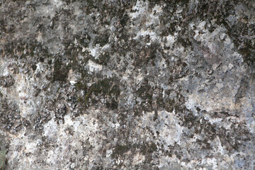 old stone wall texture background