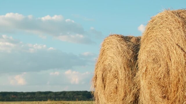 Haystacks baled in summer sun, camera slowly pans up to blue sky with clouds, authenticity of video for seasonal farming and eco lifestyle themes