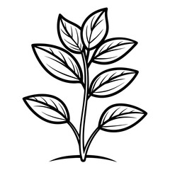 black and white vector illustration of plant