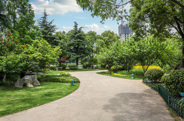 Tranquil Pathway Through a Vibrant Park Surrounded by Lush Greenery