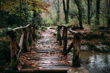 A rustic wooden bridge over a stream in autumn woods with falling leaves.