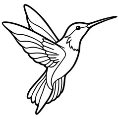 Fototapeta premium Hummingbird Vector Illustration