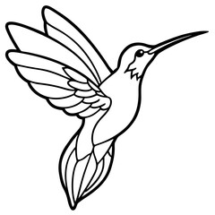 Obraz premium Hummingbird Vector Illustration