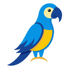 Stylized blue and yellow macaw parrot illustration