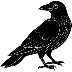 Stylized black crow silhouette with white outline details