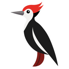 Stylized red crested woodpecker illustration