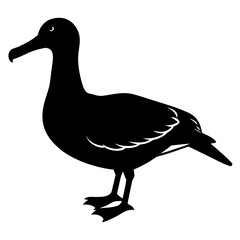 Silhouette of a seabird with webbed feet and a hooked beak