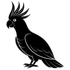 Stylized black cockatoo silhouette with crest