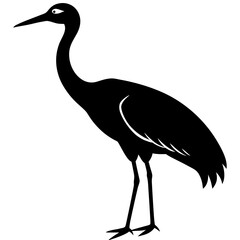 Silhouette of a majestic crane standing tall