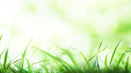 Green grass with blurred background. The natural concept of growth and freshness. The image emphasizes the vibrant green color and the texture of the grass.