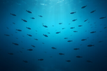 Fototapeta premium Underwater Serenity: A mesmerizing view of a multitude of fish gracefully swimming in the depths of the ocean, illuminated by ethereal beams of sunlight.
