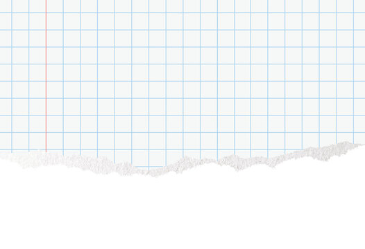 Grid graph paper sheet with blue squares and ragged torn lower edge on transparent background. Realistic stationery texture perfect for mockups, school projects, scrapbooks and collage overlays.