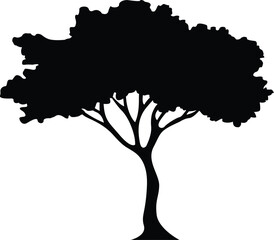 vector tree silhouette, black and white tree, tree, babul tree, nature