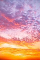 Beautiful , luxury soft gradient orange gold clouds and sunlight on the blue sky perfect for the background, take in evening,Twilight, Large size, high definition landscape photo,Vertical