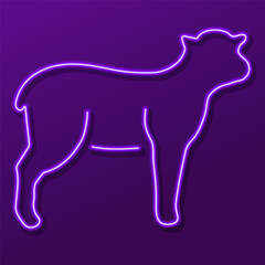 lamb neon sign, colorful modern design trends on black background. Vector illustration.