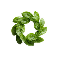 Fototapeta premium Fresh Basil Leaves Arranged in a Circle on Black Background
