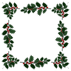 Christmas plant holly berries frame wreath. Winter seasonal decoration plant with green leaves. Xmas and New Year element collection 