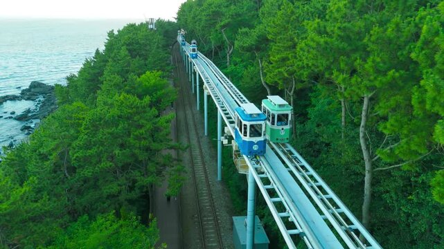 Aerial of green and blue monorail trains on elevated tracks, traversing a dense forest coastline with individuals walking below, South Korea.