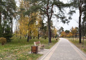An empty wooden park bench at the edge of a path. 