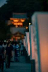 鎌倉2586　鶴岡八幡宮8　ぼんぼり祭り