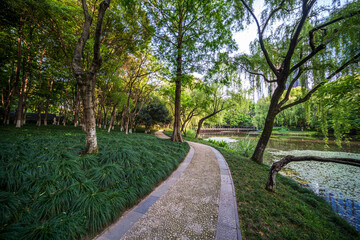 Tranquil Pathway Surrounded by Lush Greenery and Reflective Waters