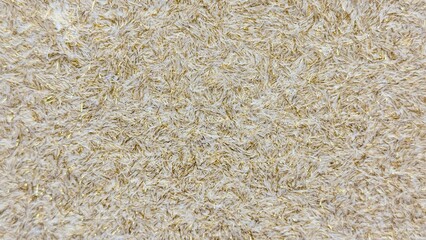 Golden Fuzzy Surface Texture with Soft Effect — Ideal Image for Premium Textile Design, Packaging, Eco Branding, and Background Compositions

