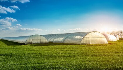 Naklejka premium greenhouse domes in a lush green field bask in sunlight exemplifying cutting edge agricultural innovation and sustainable farming methods for spring cultivation