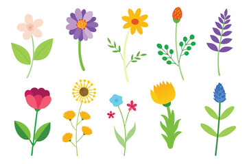 Photo of collection of colorful flowers and leaves isolated on white background, perfect for adding a touch of nature to your designs and illustrations