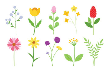 Photo of collection of various flowers isolated on white background, perfect for spring and summer designs, featuring floral elements and botanical illustrations