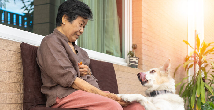 Senior woman feeds dog outdoors, smiling and enjoying a joyful moment, showing love, care, and companionship between owner and pet at home.
